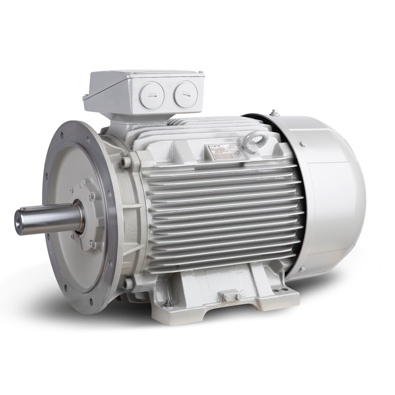 6RN315M08E22U46B@2021 | Rotor 6RN315M08E22U46B@2021