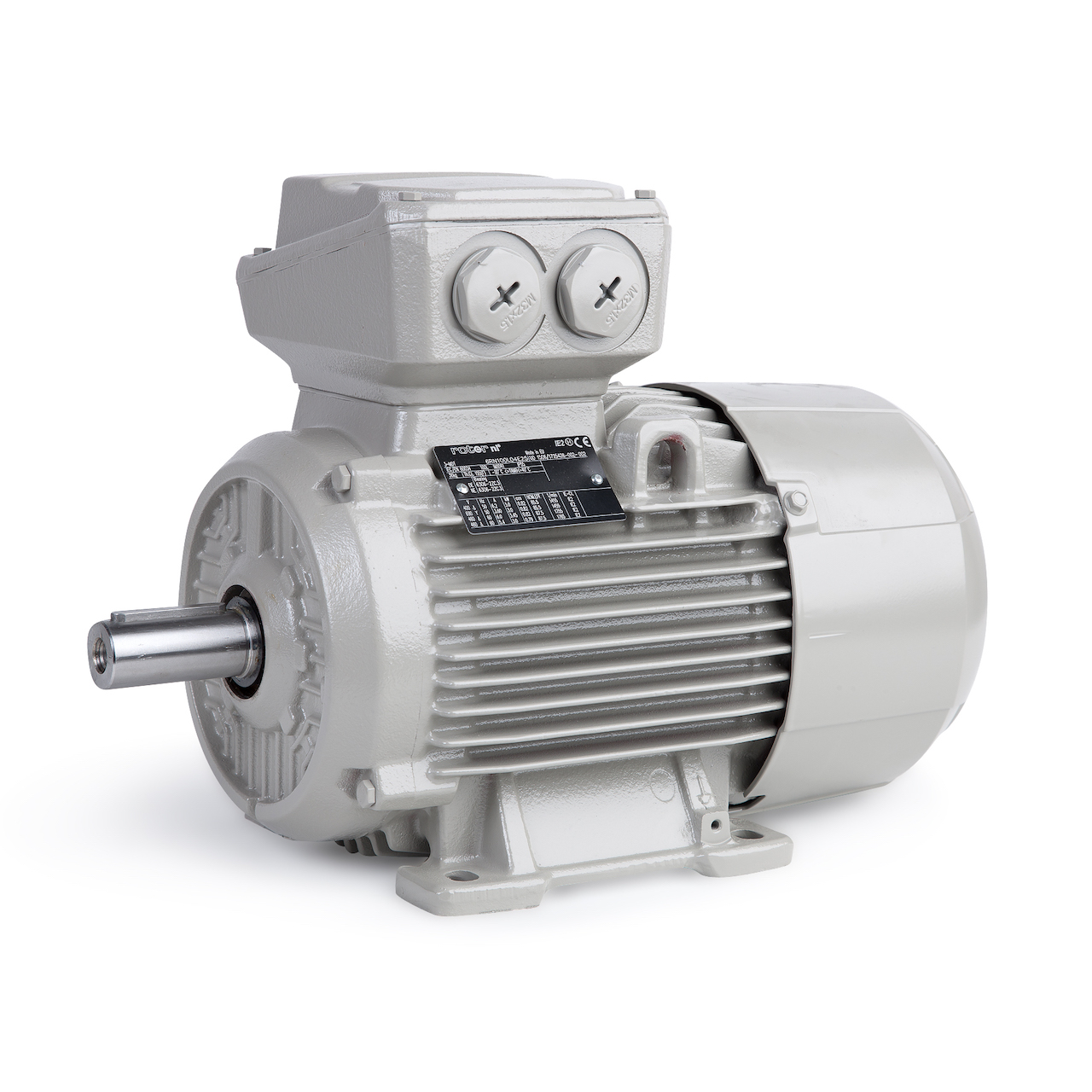 6RN160L04E27U24@1081 | Rotor 6RN160L04E27U24@1081