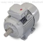 6RN100L02E44U24@1081 | Rotor